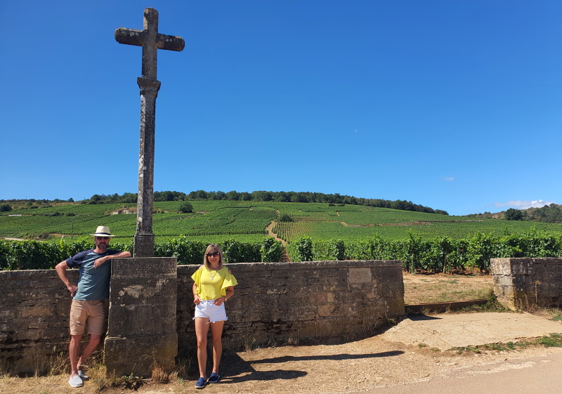 El viñedo de Domaine de la Romanee Conti, que produce el vino mas costoso del mundo